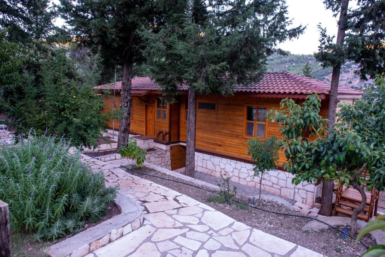 Trinitys Forest Bungalows Кемер Екстериор снимка