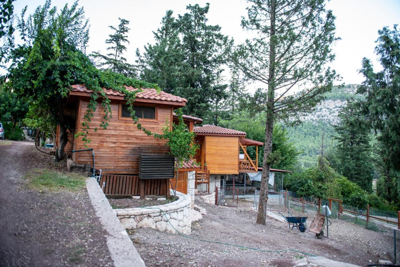 Trinitys Forest Bungalows Кемер Екстериор снимка