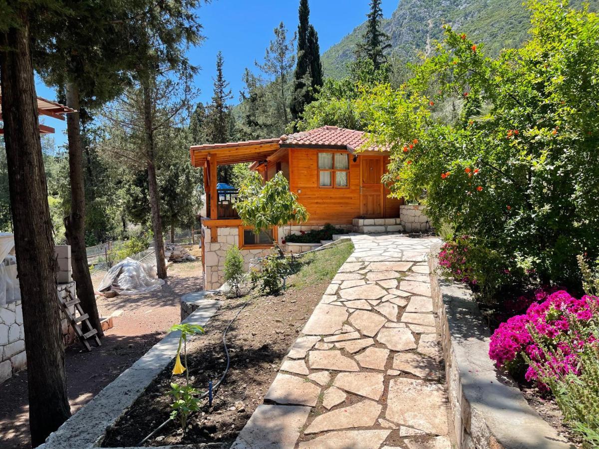 Trinitys Forest Bungalows Кемер Екстериор снимка