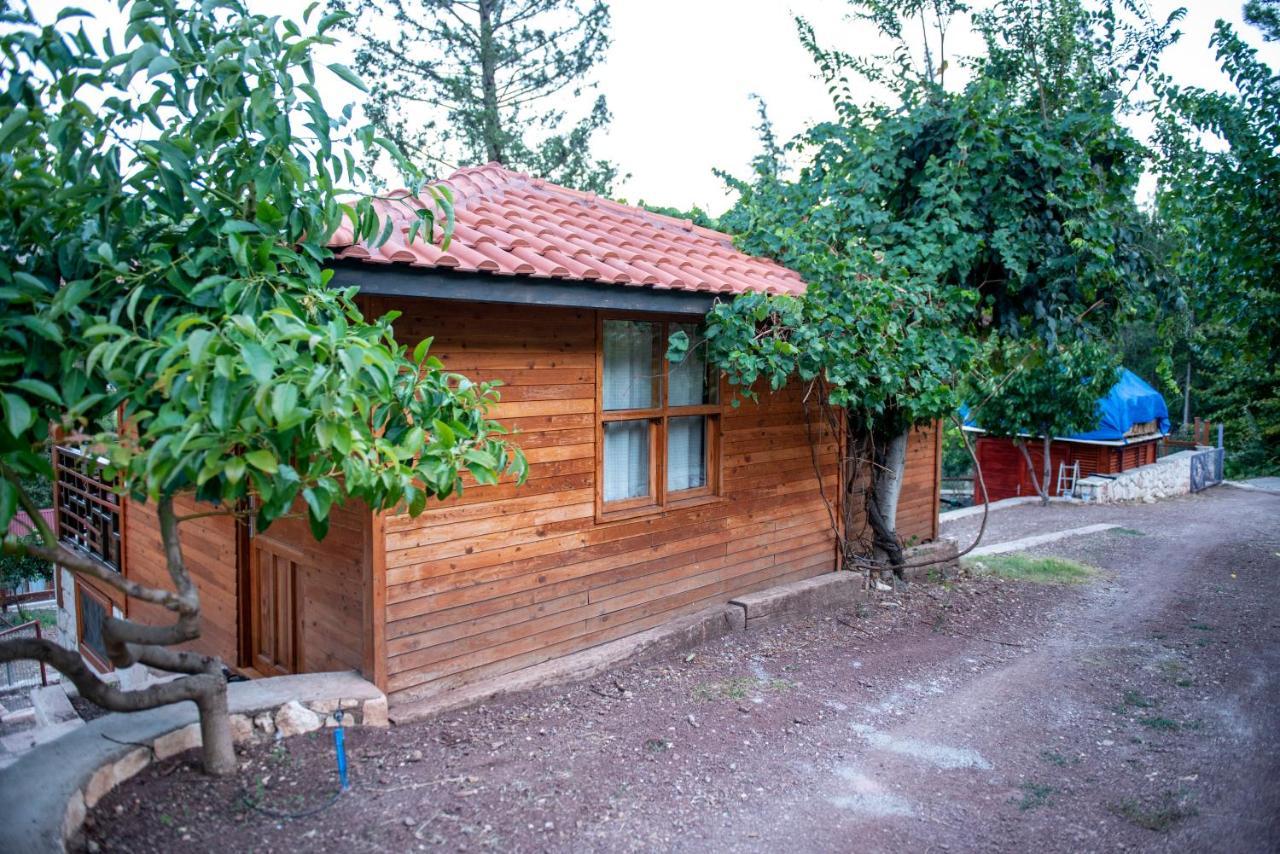 Trinitys Forest Bungalows Кемер Екстериор снимка