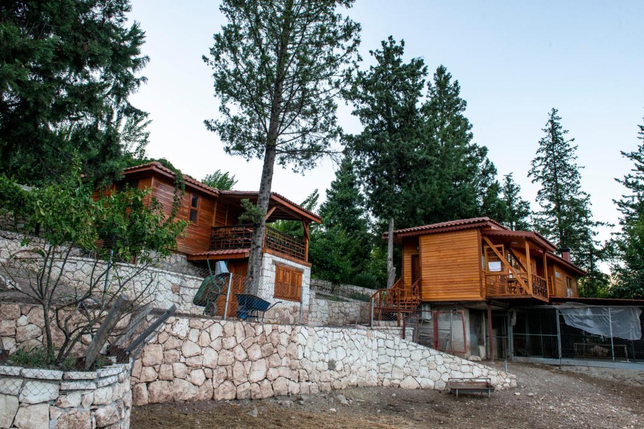 Trinitys Forest Bungalows Кемер Екстериор снимка