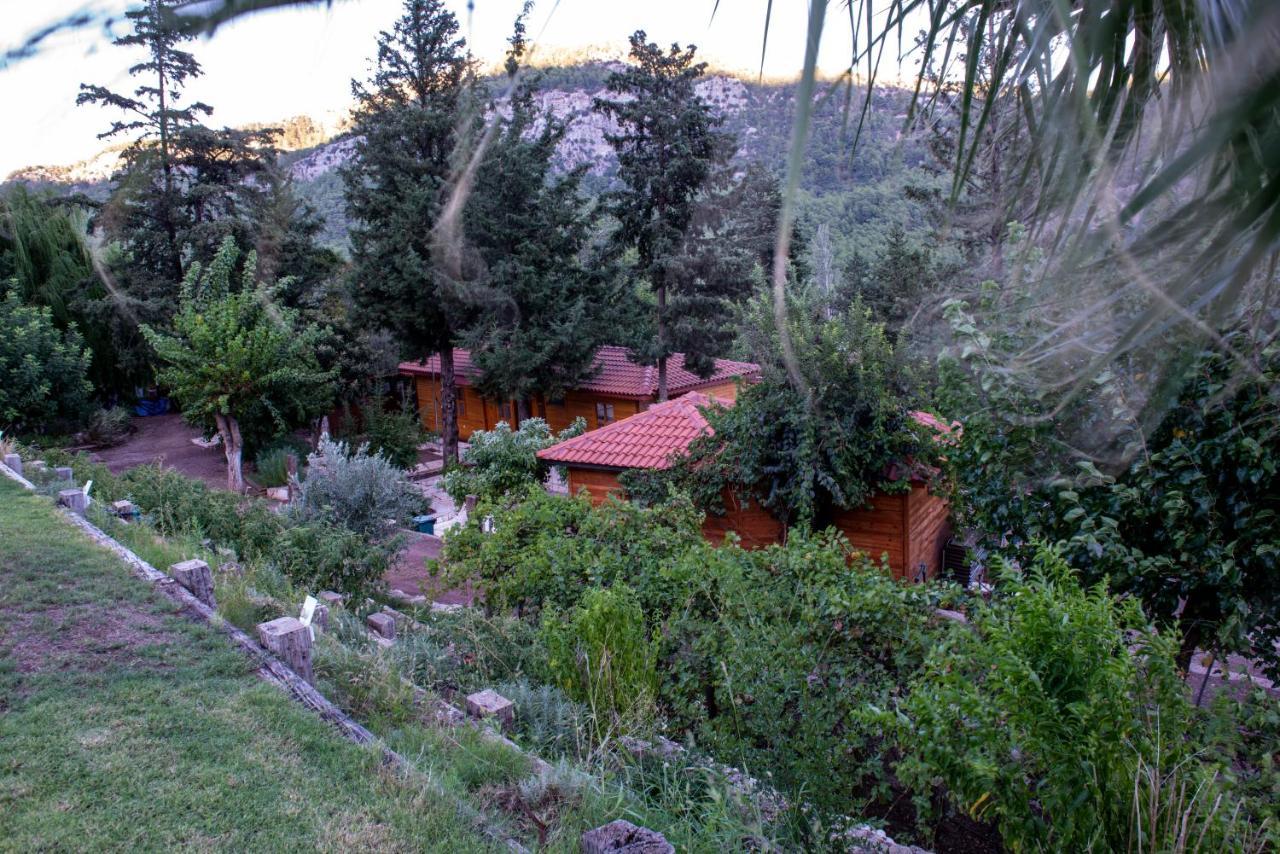 Trinitys Forest Bungalows Кемер Екстериор снимка