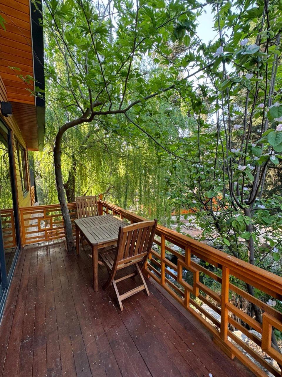 Trinitys Forest Bungalows Кемер Екстериор снимка