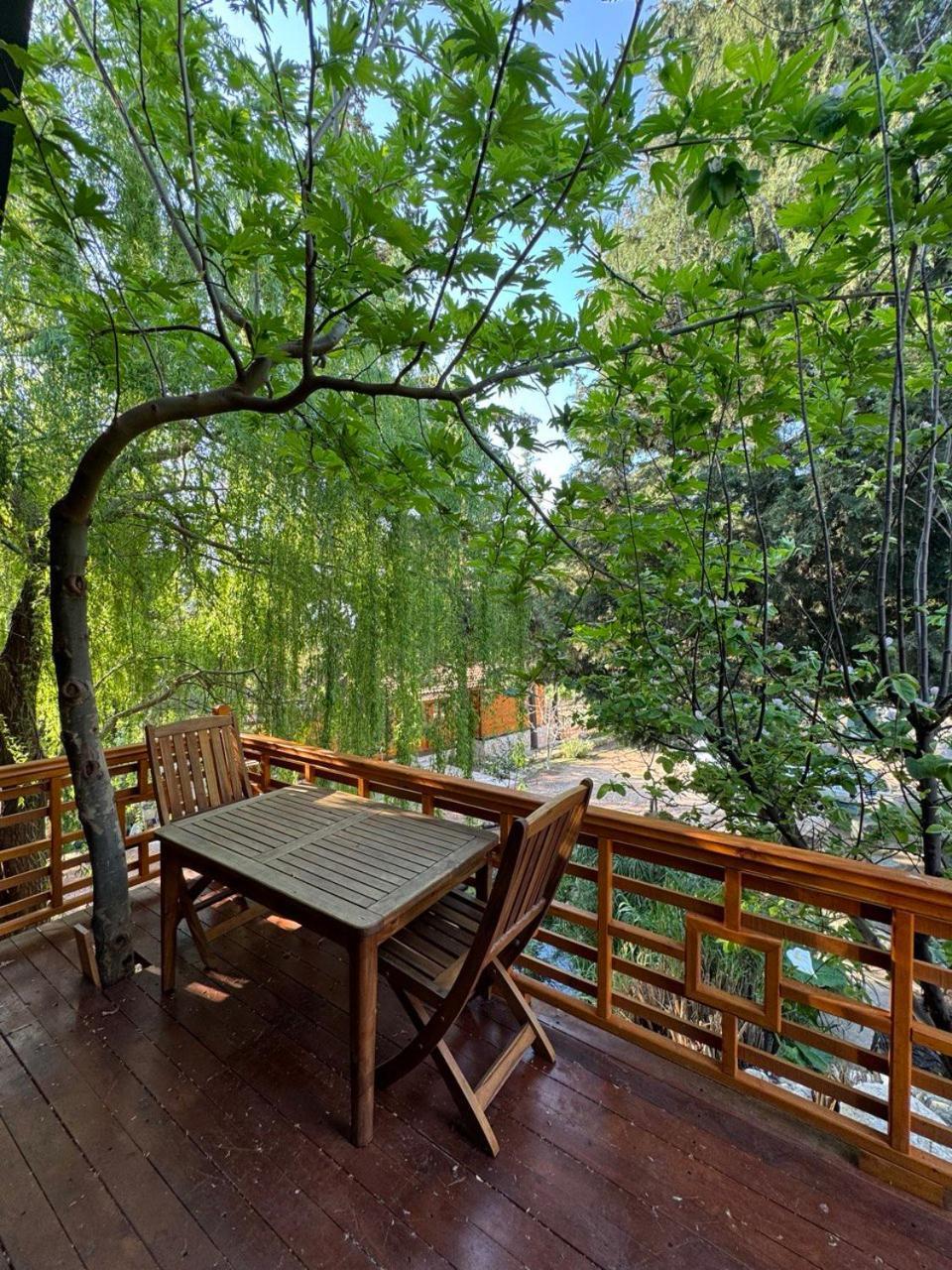 Trinitys Forest Bungalows Кемер Екстериор снимка